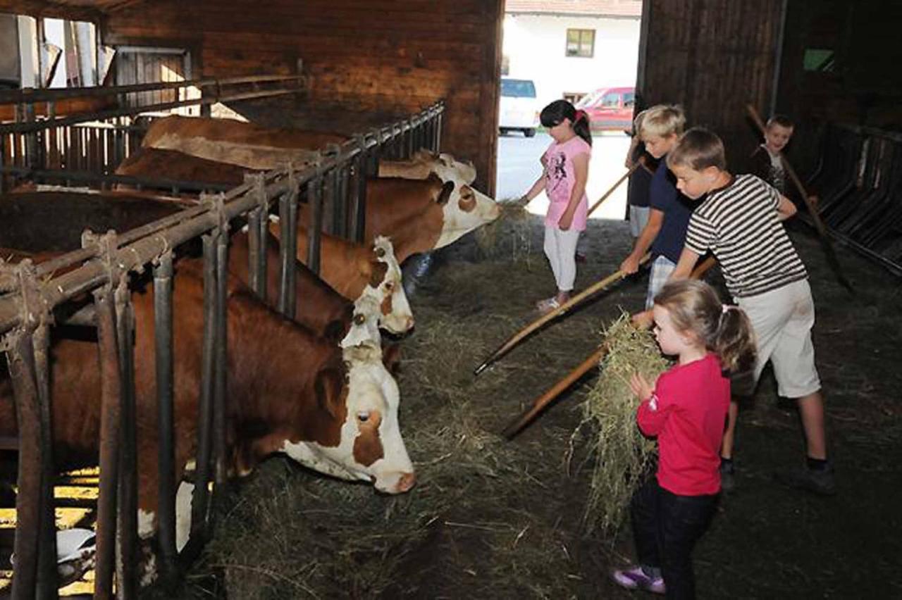 Exenbacher Hof Traumbauernhaus S'Haisl Arnbruck Kültér fotó