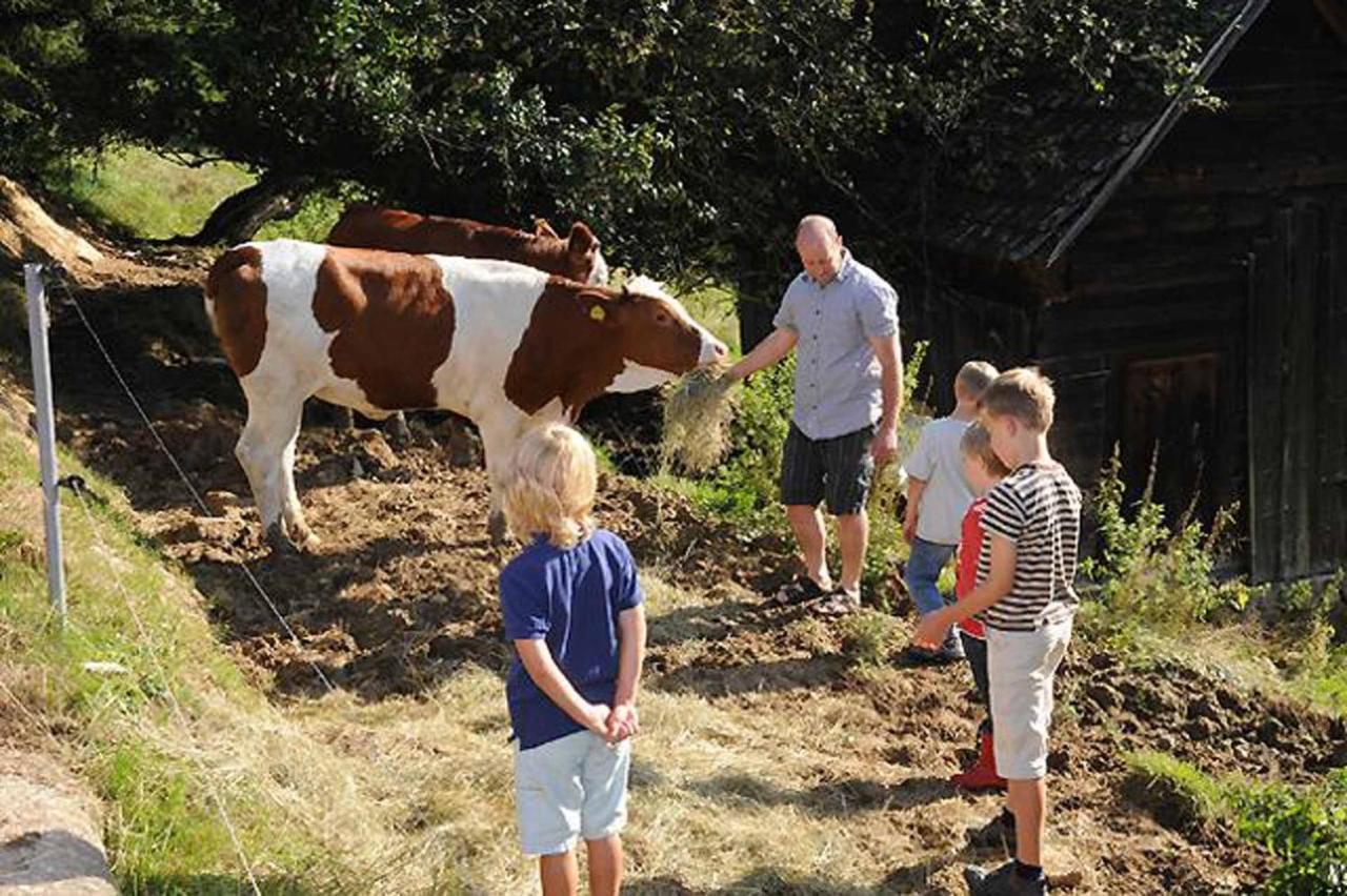 Exenbacher Hof Traumbauernhaus S'Haisl Arnbruck Kültér fotó