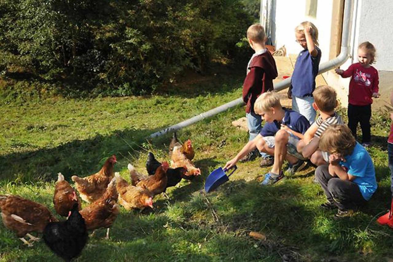 Exenbacher Hof Traumbauernhaus S'Haisl Arnbruck Kültér fotó