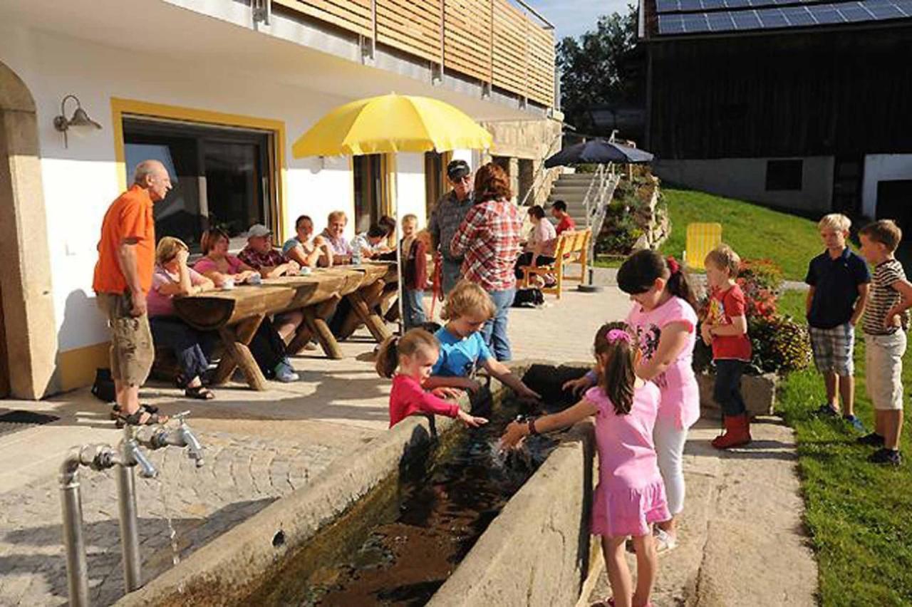 Exenbacher Hof Traumbauernhaus S'Haisl Arnbruck Kültér fotó