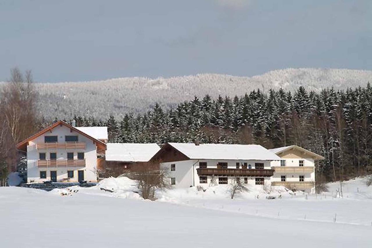 Exenbacher Hof Traumbauernhaus S'Haisl Arnbruck Kültér fotó